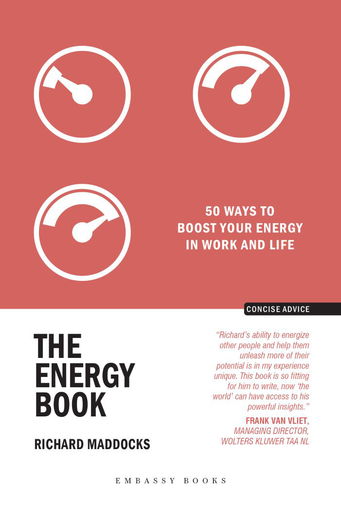 THE ENERGY BOOK