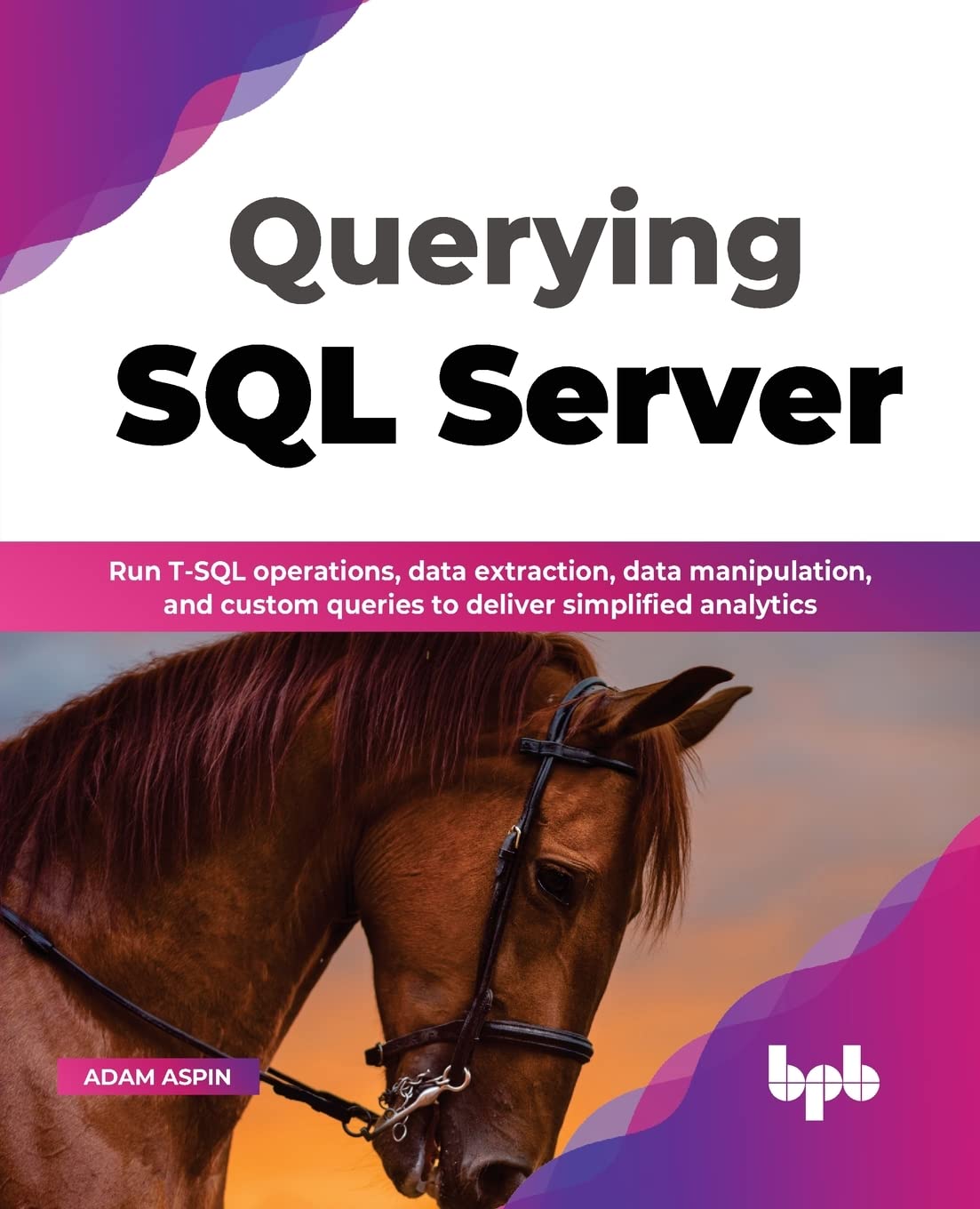 QUERYING SQL SERVER 