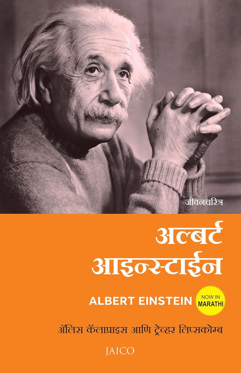 Albert Einstein (Marathi)