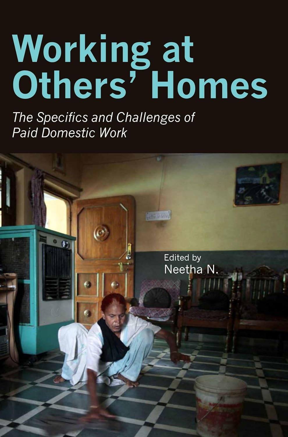 WORKING AT OTHERS HOMES - THE SPECIFICS AND CHALLENGES OF PAID DOMESTIC WORK