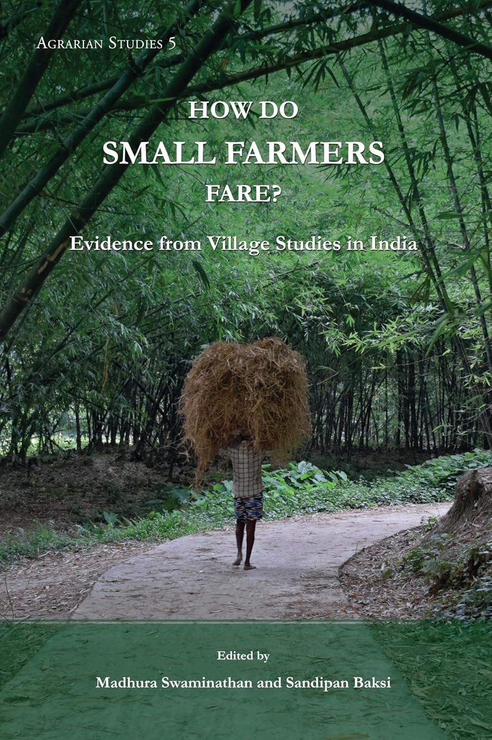 How Do Small Farmers Fare? Evidence from Village Studies in India