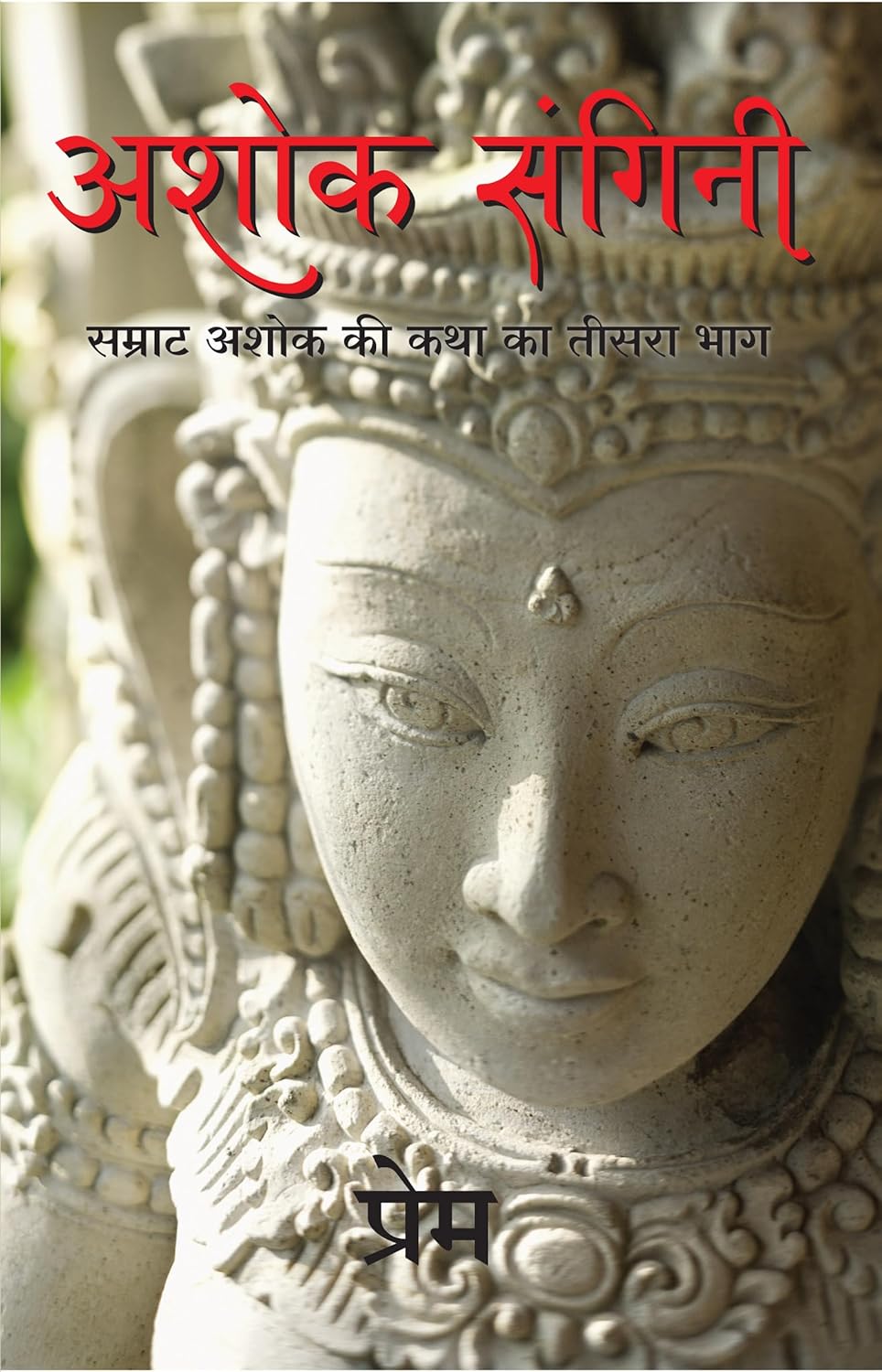 ASHOK SANGINI (HINDI)