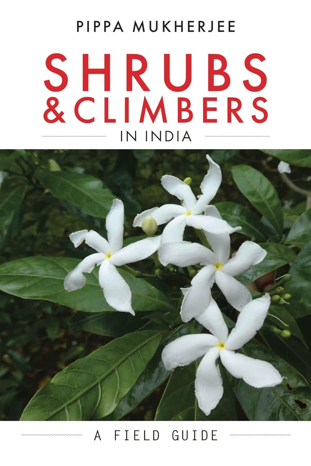 SHRUBS & CLIMBERS IN INDIA (F.B)