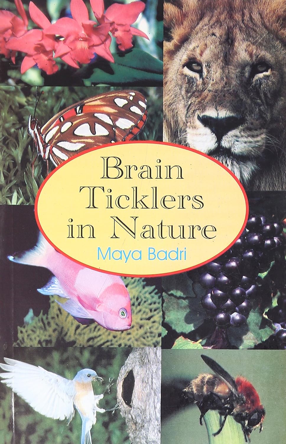BRAIN TICKLERS IN NATURE