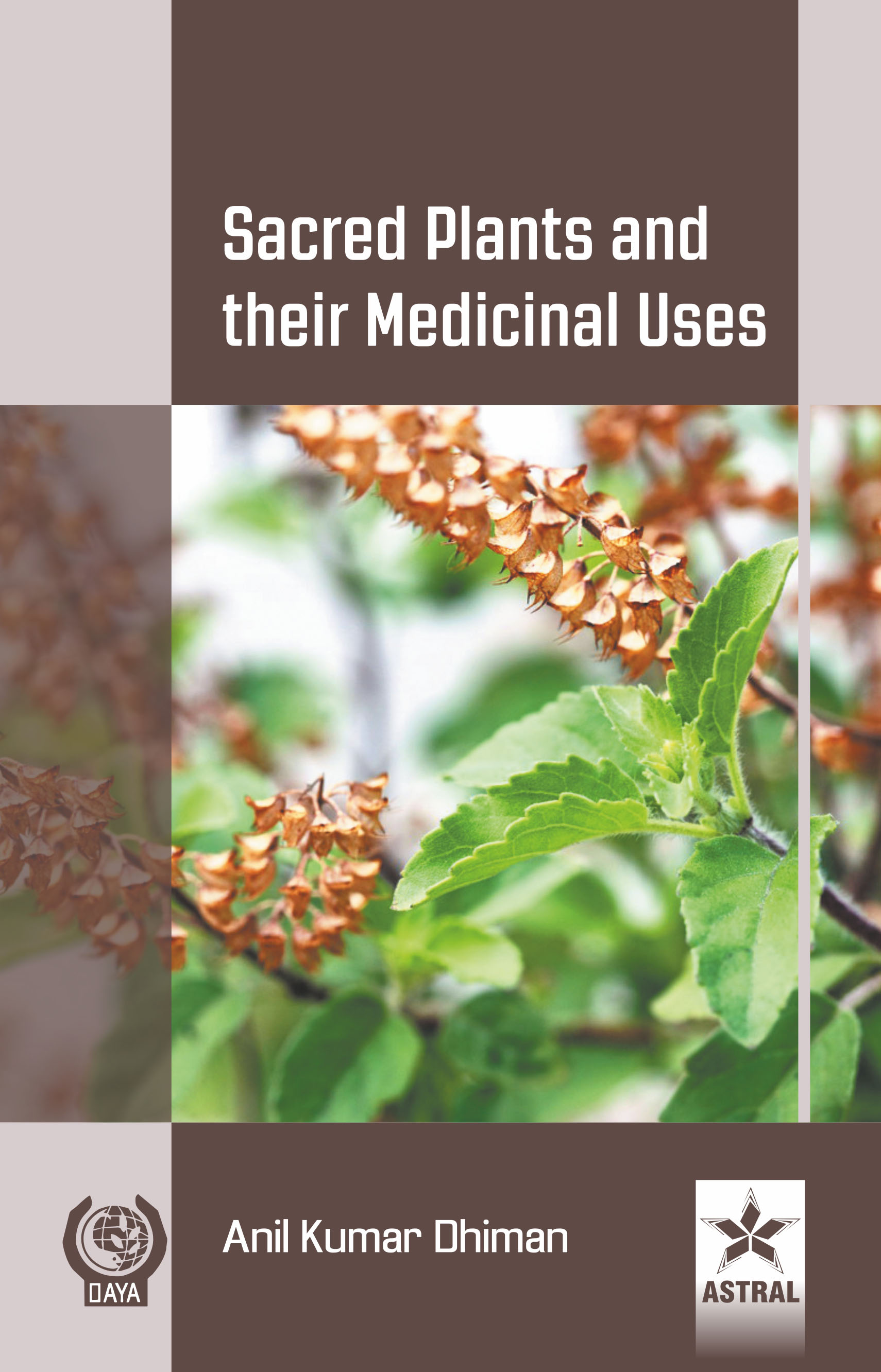 Sacred Plants and their Medicinal Uses