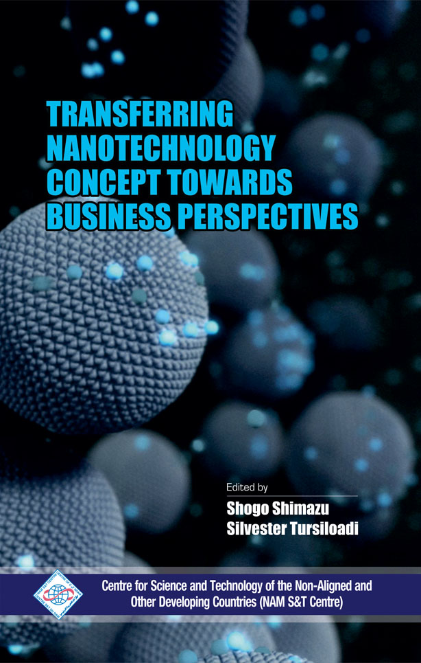 TRANSFERRING NANOTECHNOLOGY CONCEPT TOWARDS BUSINESS PERSPECTIVES