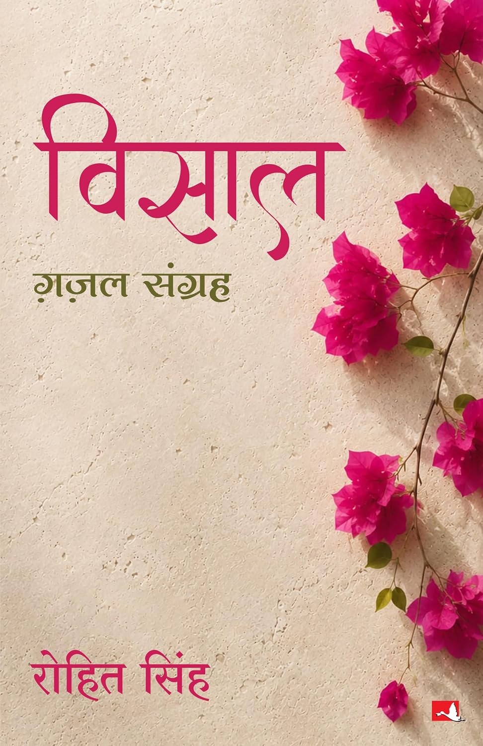 VISAAL ( HINDI)