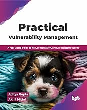 PRACTICAL VULNERABILITY MANAGEMENT