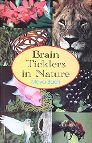 Brain Ticklers in Nature