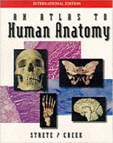 An Atlas To Human Anatomy 