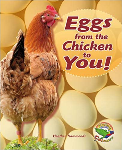 EGGS FROM THE CHICKEN TO YOU!