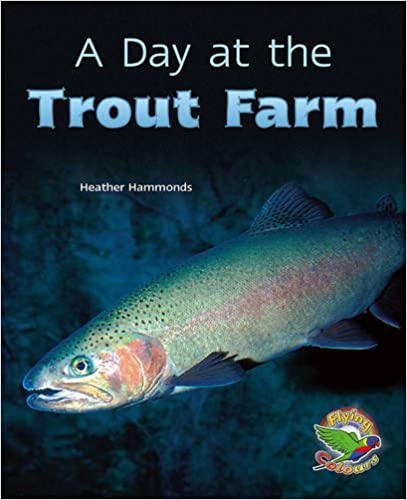 A DAY AT THE TROUT FARM