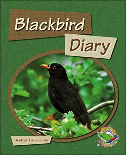 BLACK BIRD DIARY