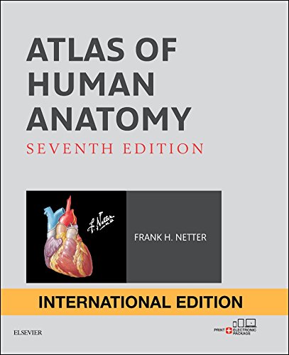 ATLAS OF HUMAN ANATOMY, 7th Edition (International Edition)