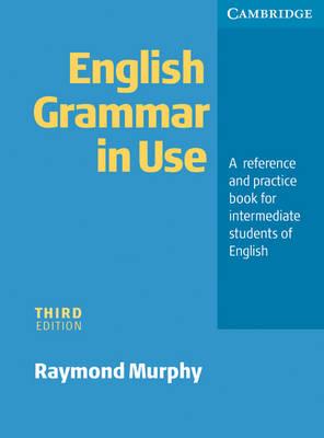 ENGLISH GRAMMAR IN USE WITHOUT ANSWERS