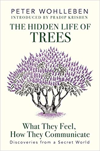 The Hidden Life Of Trees: What They Feel, How They Communicate—Discoveries From A Secret World