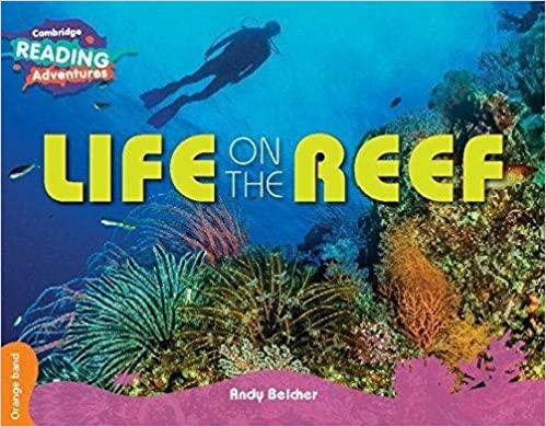 Life on the Reef