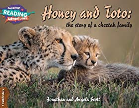 Honey & Toto : The story of a cheetah family