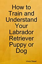 HOW TO TRAIN AND UNDERSTAND YOUR LABRADOR RETRIEVER PUPPY OR DOG