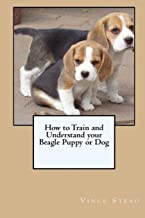 HOW TO TRAIN AND UNDERSTAND YOUR BEAGLE PUPPY OR DOG