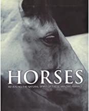 SPIRIT OF HORSES