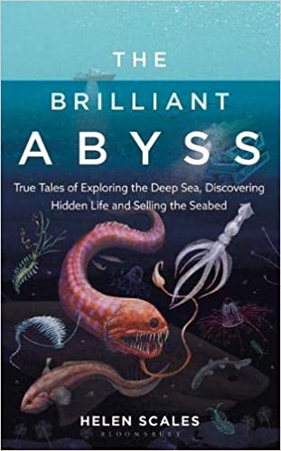 The Brilliant Abyss: True Tales of Exploring the Deep Sea, Discovering Hidden Life and Selling the Seabed 