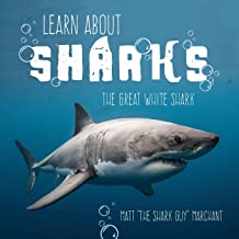 Learn About Sharks