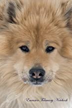 Eurasier February Notebook Eurasier Record, Log, Diary, Special Memories, To Do List, Academic Notepad, Scrapbook & More