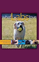 WHAT LABS LOVE