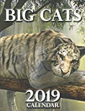 BIG CATS 2019 CALENDAR