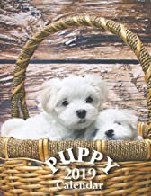 Puppy 2019 Calendar