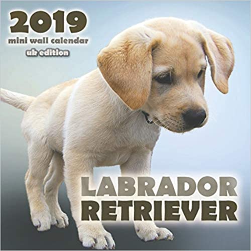 LABRADOR RETRIEVER 2019 MINI WALL CALENDAR