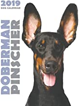 DOBERMAN 2019 DOG CALENDAR