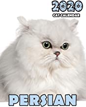 Persian 2020 Cat Calendar