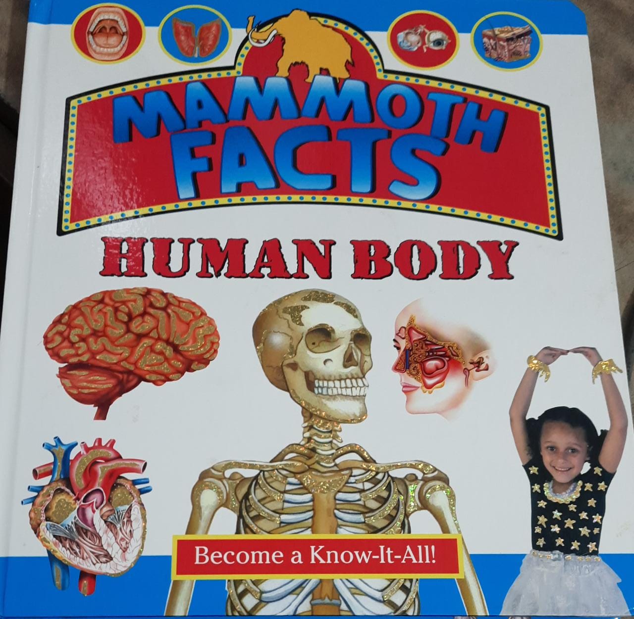 Mammoth Facts Human Body