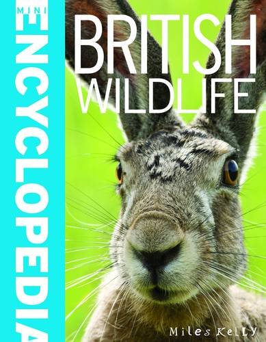 Mini Encyclopedia - British Wildlife