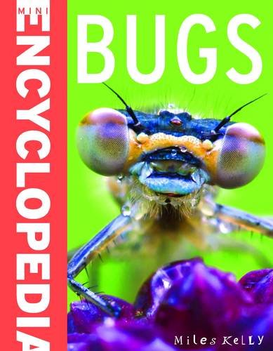 Mini Encyclopedia - Bugs (Sticker Book) 