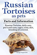 RUSSIAN TORTOISES AS PETS. RUSSIAN TORTOISE: FACTS AND INFORMATION.