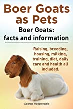 Boer Goats as Pets. Boer Goats