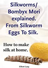 Silkworm/Bombyx Mori explained