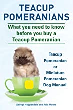 Teacup Pomeranians