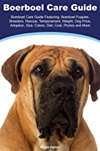Boerboel Boerboel Care Guide Featuring: Boerboel Puppies, Breeders, Rescue, Temperament, Weight, Dog Price, Adoption, Size, Colors, Diet, Cost, Photos and More