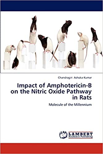 Impact of Amphotericin-B on the Nitric Oxide Pathway in Rats 