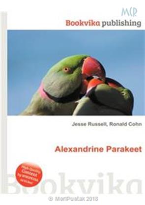 Alexandrine Parakeet
