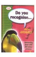 Toucan (Do You Recognise)