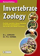 Invertebrate Zoology (Multicolour Edition)                                                                 