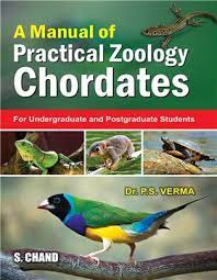 A MANUAL OF PRACTICAL ZOOLOGY – CHORDATES                                                             