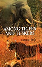 Among Tigers and Tuskers