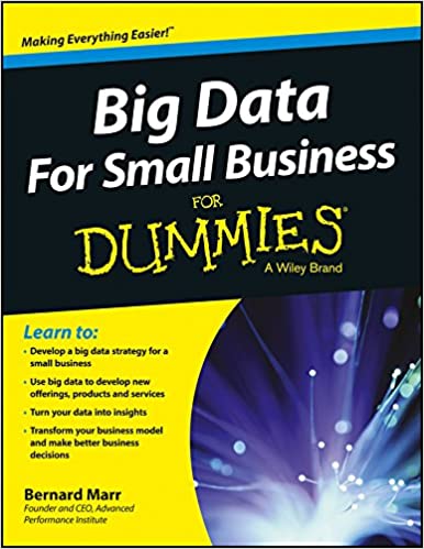 Big Data for Small Business for Dummies 