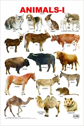 Dreamland Animals-1